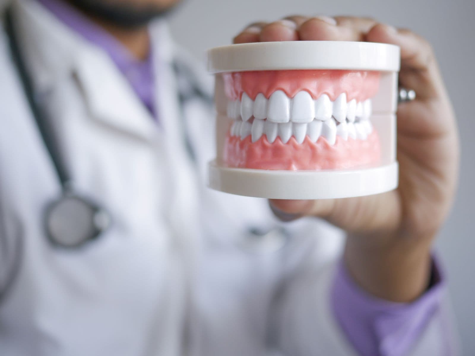 Modelo de prótesis dental mostrado por un profesional
